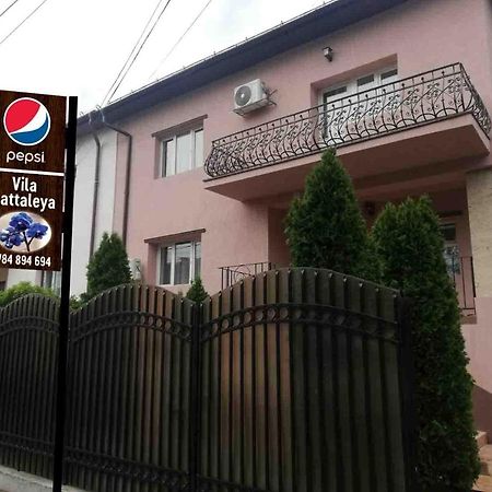 Casa Cattleya Hotel Targu Jiu Ngoại thất bức ảnh