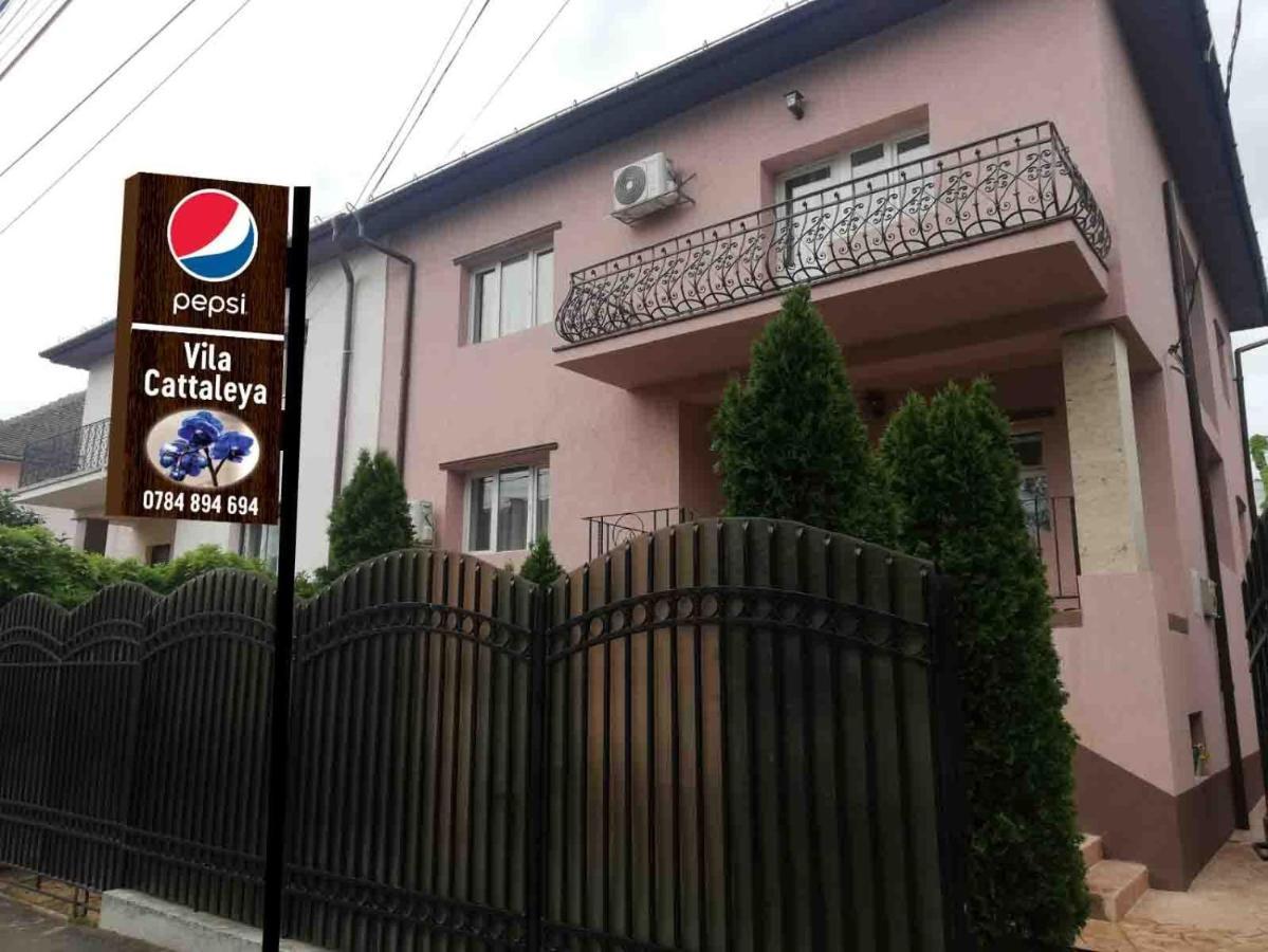 Casa Cattleya Hotel Targu Jiu Ngoại thất bức ảnh